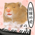 我够帅吧