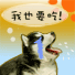 狗宝贝