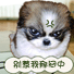 别惹我郁闷中