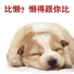 懒理你