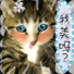 俏皮猫