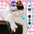 求爱猫