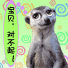 宝贝，对不起
