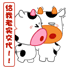 老实交代