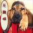 无聊啊