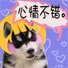 心情不错