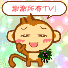 谢谢你们
