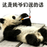 纯爷们