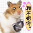拳击鼠