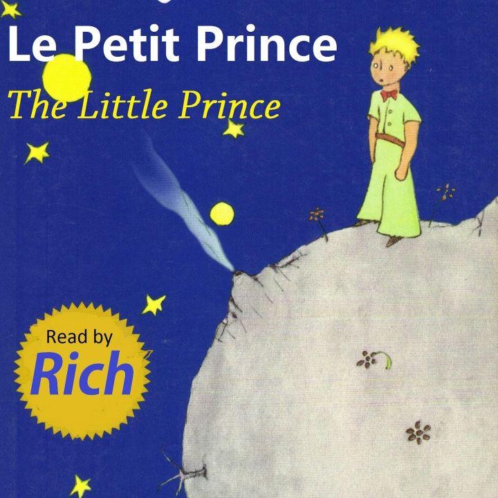 lepetitprincebyrich 13