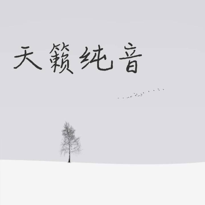 【天籁纯音】世外佳人:熨心帖心,2020年新年伊始的背景音