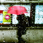 专属于雨天的歌