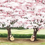 “流行歌曲的升华”优美悦耳 “流行歌曲的升华”优美悦耳