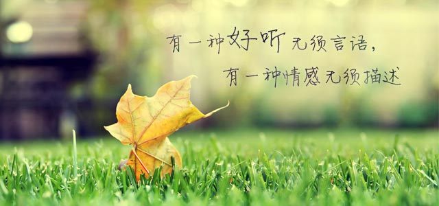 好听无须言语，情感无须描述