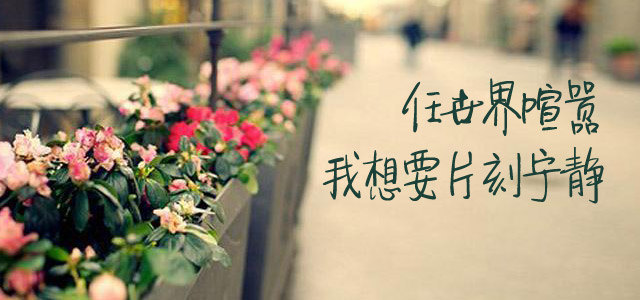 任世界喧嚣，我想要片刻宁静