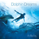 Dolphin Dreams - Dan Gibson - 音乐库 - QQ音乐