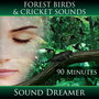 Forest Birds and Cricket Sounds - 90 Minutes