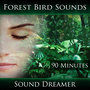 Forest Bird Sounds - 90 Minutes
