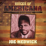 Voice Of Americana: Joe Medwick