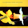 Flowers For Lovers - The Power Of Flowers 6