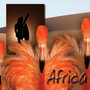 World Travel Series: Africa Contempo