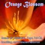 Orange Blossom: Meditation, Yoga, Tai-Chi, Breathing, And Transient Relaxation
