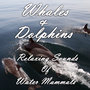 Whales and Dolphins: Relaxing Sounds of Water Mammals