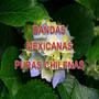 Bandas Mexicanas