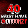 40 Must Have Broonzy