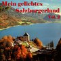 Mein geliebtes Salzburgerland, Vol. 2