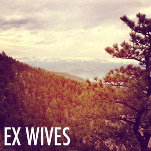 Ex Wives-Light Black_QQ音乐-音乐你的生活