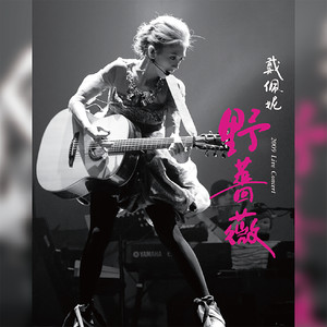 野蔷薇(Live)(热度:42)由琴格格翻唱，原唱歌手戴佩妮