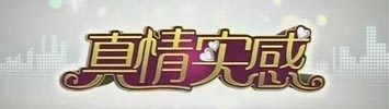 真情实感