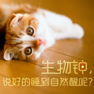 说说配图