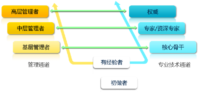 双通道职业发展体系